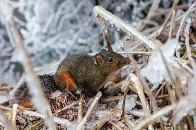 史低29元入手《方块方舟》，方舟联动捆绑包等多重福利齐发