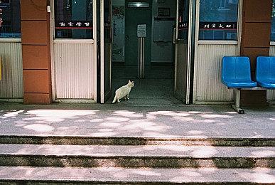 《第九哨兵姐妹》现已在PC平台推出抢先体验版